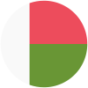 Flag of MG