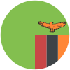 Flag of ZM